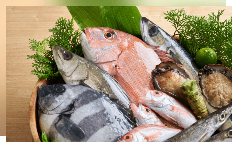 利州株式会社 取扱い魚種