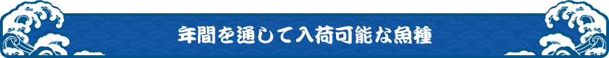 年間を通して入荷可能な魚種