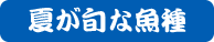 夏が旬な魚種