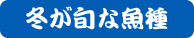冬が旬な魚種